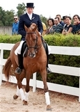 Ourique horse riding